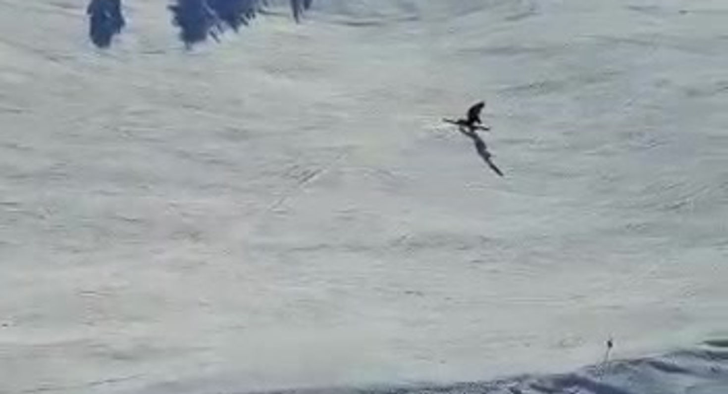 Telemark